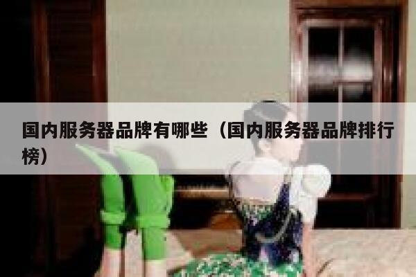 国内服务器品牌有哪些（国内服务器品牌排行榜） 第1张