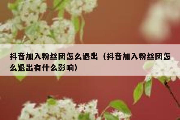 抖音加入粉丝团怎么退出（抖音加入粉丝团怎么退出有什么影响） 第1张