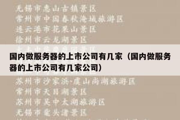 国内做服务器的上市公司有几家（国内做服务器的上市公司有几家公司） 第1张