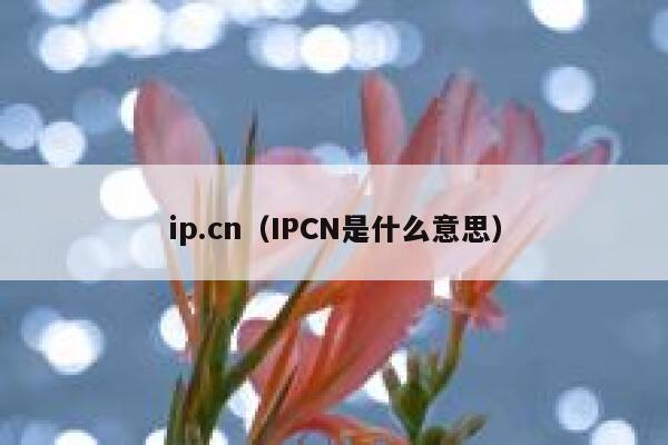 ip.cn（IPCN是什么意思） 第1张