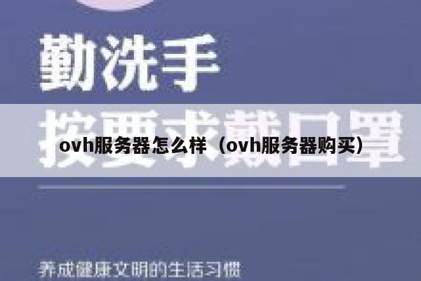 ovh服务器怎么样（ovh服务器购买） 第1张