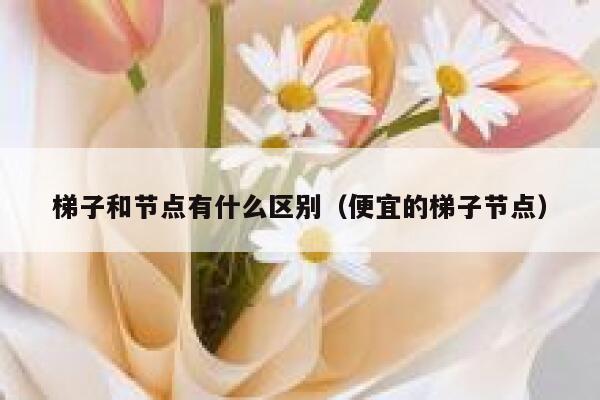 梯子和节点有什么区别（便宜的梯子节点） 第1张
