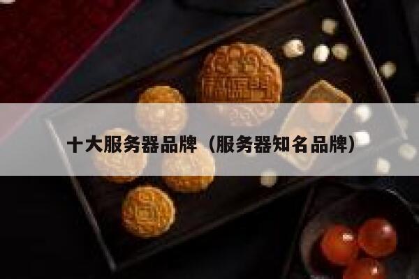 十大服务器品牌（服务器知名品牌） 第1张