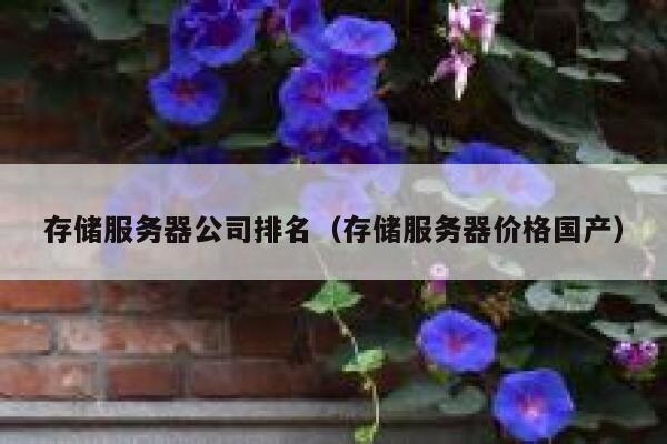 存储服务器公司排名（存储服务器价格国产） 第1张