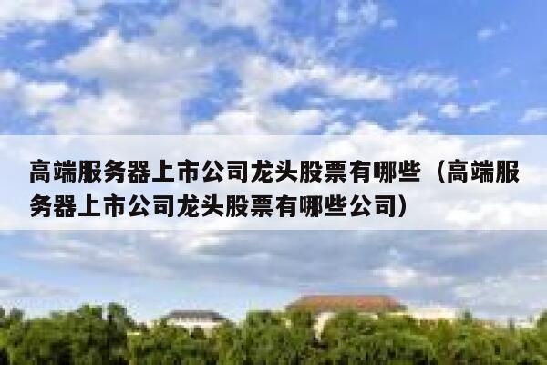 高端服务器上市公司龙头股票有哪些（高端服务器上市公司龙头股票有哪些公司） 第1张