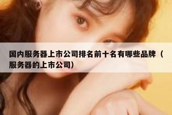 国内服务器上市公司排名前十名有哪些品牌（服务器的上市公司） 第1张