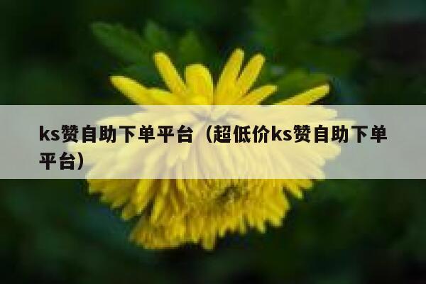 ks赞自助下单平台（超低价ks赞自助下单平台） 第1张
