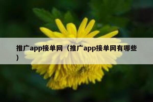 推广app接单网（推广app接单网有哪些） 第1张