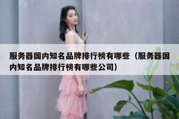 服务器国内知名品牌排行榜有哪些（服务器国内知名品牌排行榜有哪些公司） 第1张