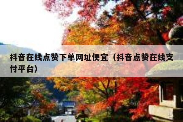 抖音在线点赞下单网址便宜（抖音点赞在线支付平台） 第1张