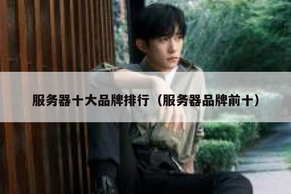 服务器十大品牌排行（服务器品牌前十） 第1张