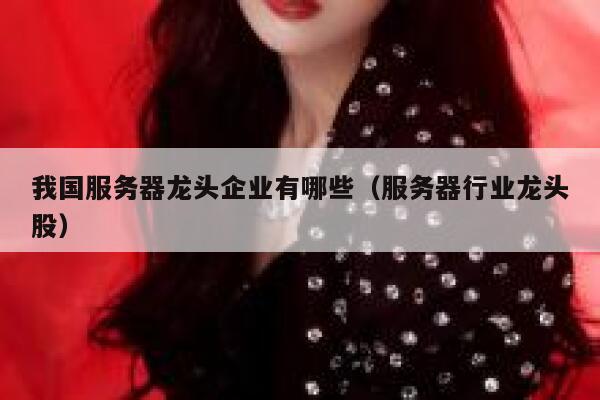 我国服务器龙头企业有哪些（服务器行业龙头股） 第1张