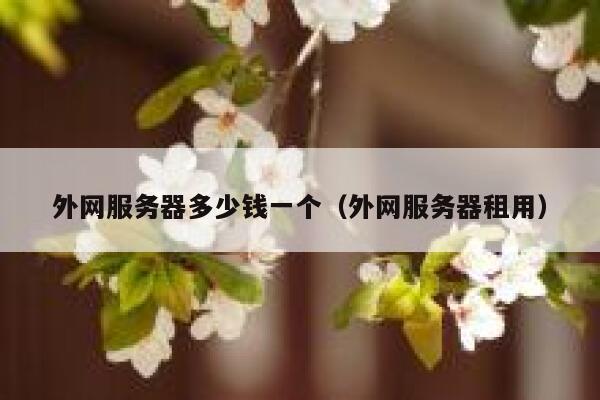 外网服务器多少钱一个（外网服务器租用） 第1张