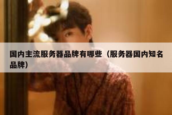 国内主流服务器品牌有哪些（服务器国内知名品牌） 第1张
