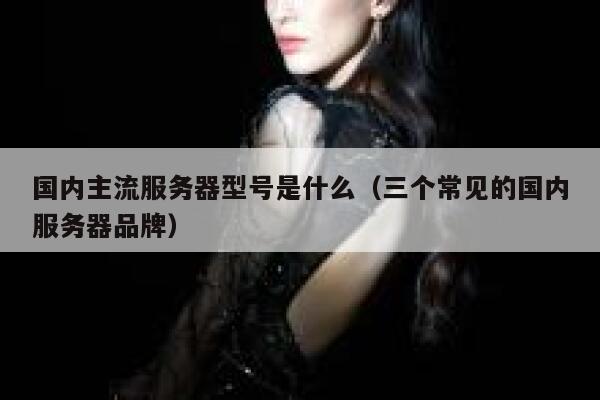 国内主流服务器型号是什么（三个常见的国内服务器品牌） 第1张