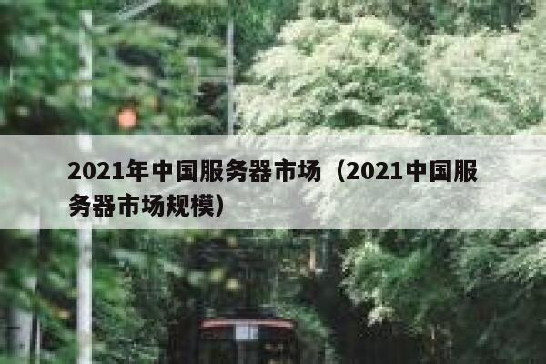 2021年中国服务器市场（2021中国服务器市场规模） 第1张