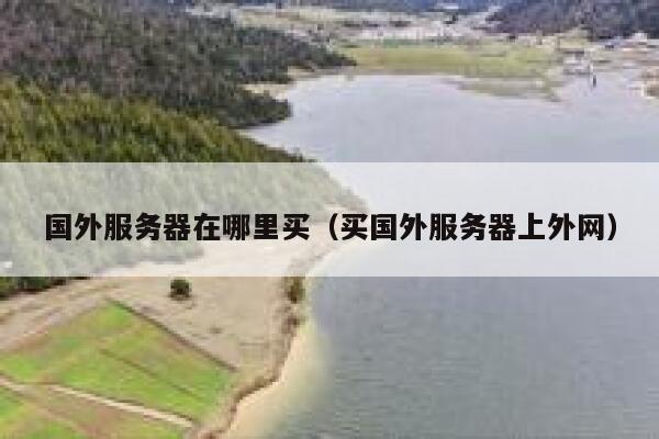 国外服务器在哪里买（买国外服务器上外网） 第1张