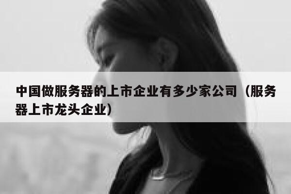 中国做服务器的上市企业有多少家公司（服务器上市龙头企业） 第1张