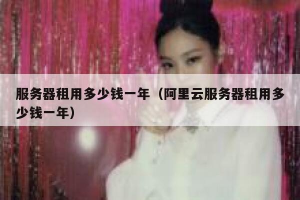 服务器租用多少钱一年（阿里云服务器租用多少钱一年） 第1张