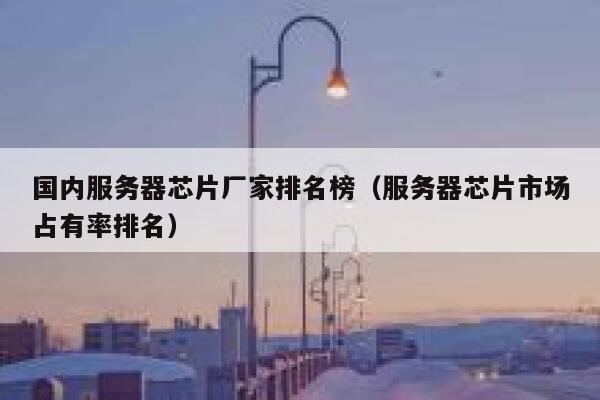 国内服务器芯片厂家排名榜（服务器芯片市场占有率排名） 第1张