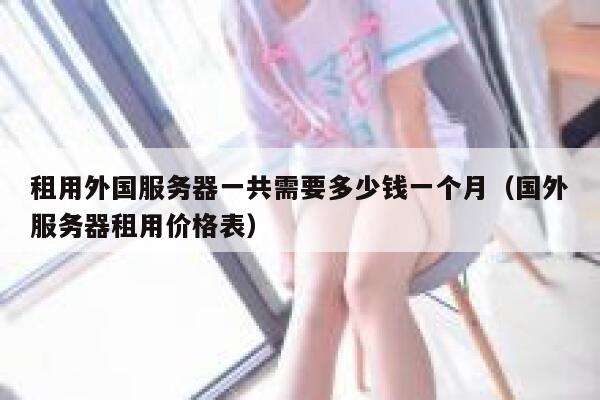 租用外国服务器一共需要多少钱一个月（国外服务器租用价格表） 第1张