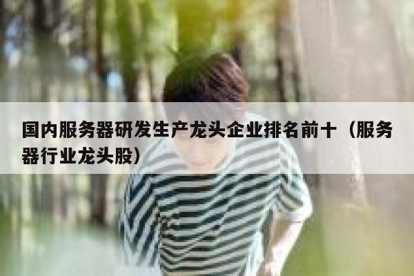 国内服务器研发生产龙头企业排名前十（服务器行业龙头股） 第1张