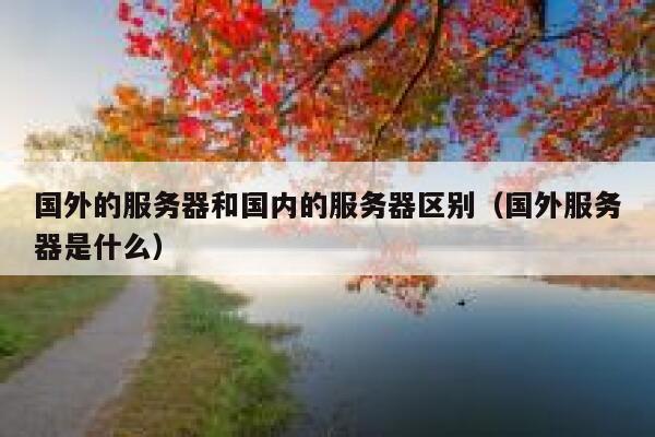 国外的服务器和国内的服务器区别（国外服务器是什么） 第1张
