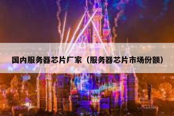 国内服务器芯片厂家（服务器芯片市场份额） 第1张