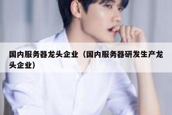 国内服务器龙头企业（国内服务器研发生产龙头企业） 第1张