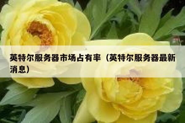 英特尔服务器市场占有率（英特尔服务器最新消息） 第1张