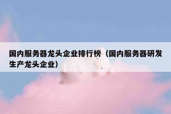 国内服务器龙头企业排行榜（国内服务器研发生产龙头企业） 第1张