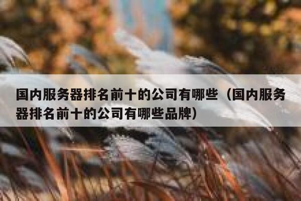 国内服务器排名前十的公司有哪些（国内服务器排名前十的公司有哪些品牌） 第1张
