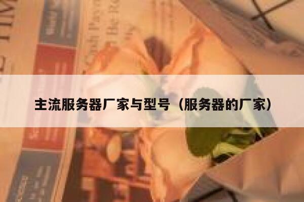 主流服务器厂家与型号（服务器的厂家） 第1张