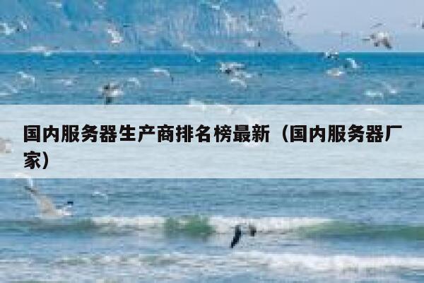 国内服务器生产商排名榜最新（国内服务器厂家） 第1张