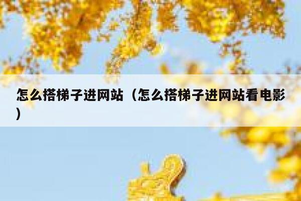 怎么搭梯子进网站（怎么搭梯子进网站看电影） 第1张