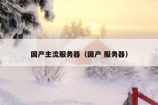 国产主流服务器（国产 服务器） 第1张