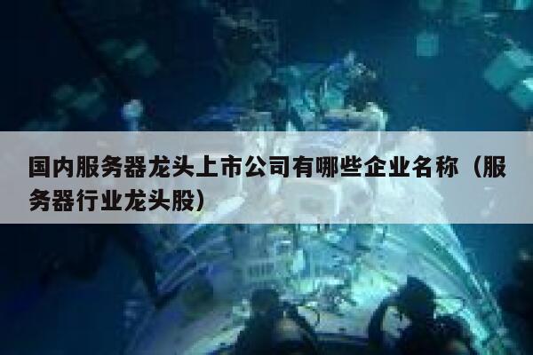 国内服务器龙头上市公司有哪些企业名称（服务器行业龙头股） 第1张