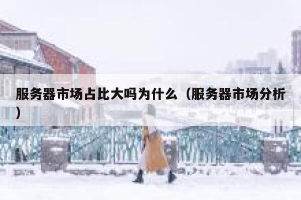服务器市场占比大吗为什么（服务器市场分析） 第1张