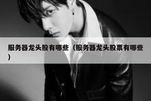 服务器龙头股有哪些（服务器龙头股票有哪些） 第1张
