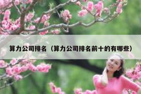 算力公司排名（算力公司排名前十的有哪些） 第1张
