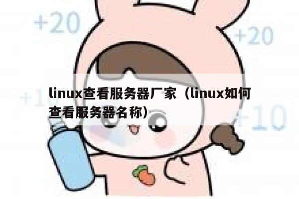linux查看服务器厂家（linux如何查看服务器名称） 第1张