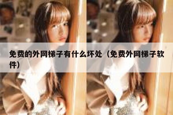 免费的外网梯子有什么坏处（免费外网梯子软件） 第1张