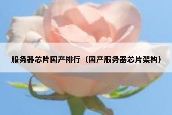 服务器芯片国产排行（国产服务器芯片架构） 第1张