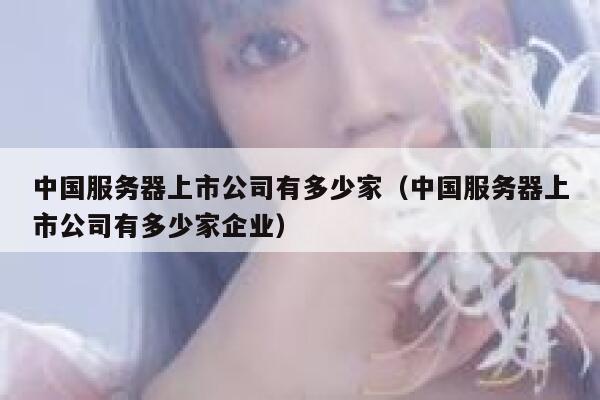 中国服务器上市公司有多少家（中国服务器上市公司有多少家企业） 第1张