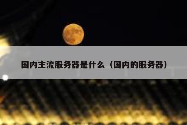 国内主流服务器是什么（国内的服务器） 第1张