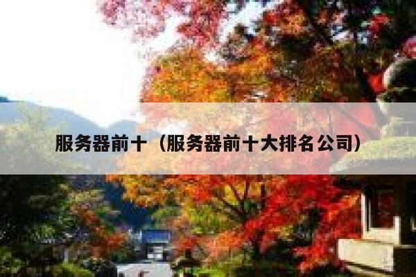 服务器前十（服务器前十大排名公司） 第1张