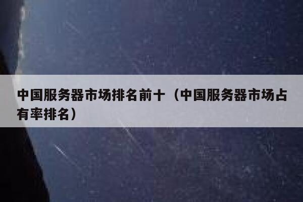 中国服务器市场排名前十（中国服务器市场占有率排名） 第1张