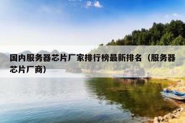 国内服务器芯片厂家排行榜最新排名（服务器芯片厂商） 第1张