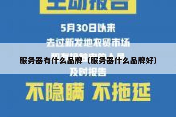 服务器有什么品牌（服务器什么品牌好） 第1张