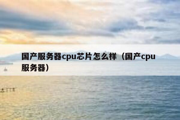 国产服务器cpu芯片怎么样（国产cpu 服务器） 第1张